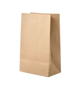 Bolsas Kraft sin Asa